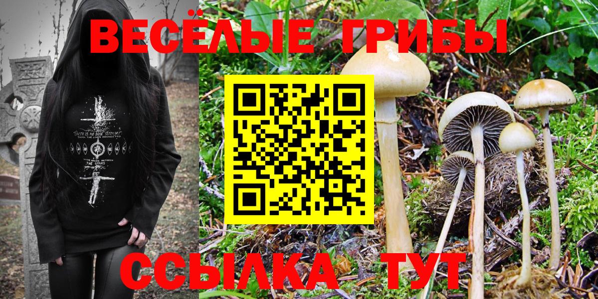 Галлюциногенные грибы ЛСД Аша