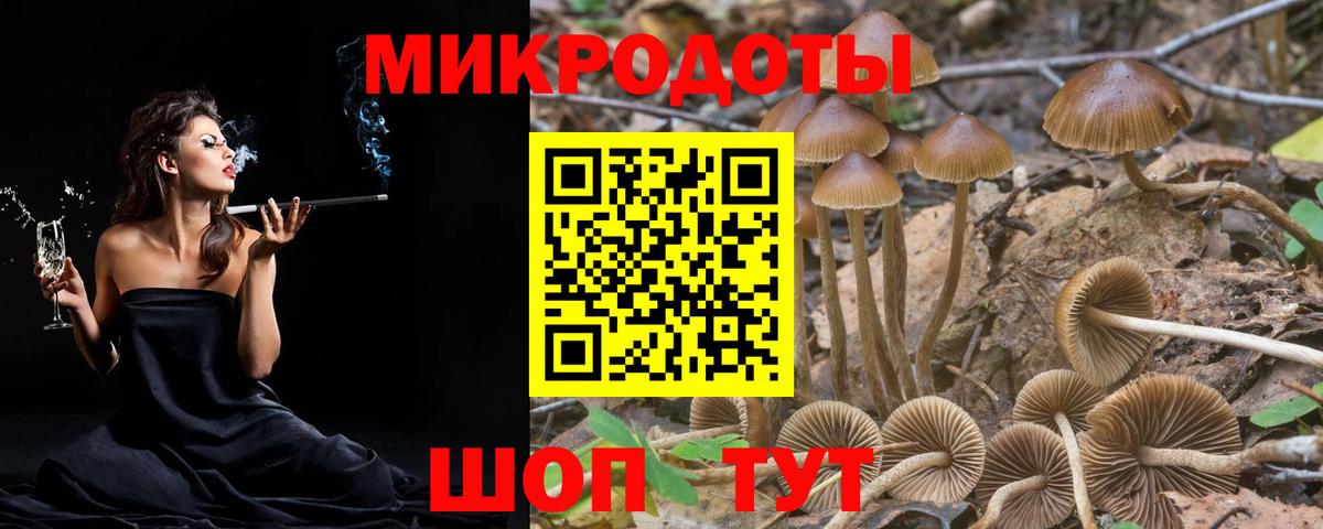Аша  Галлюциногенные грибы Psilocybine cubensis  Галлюциногенные грибы прущие грибы  Вход с VPN 